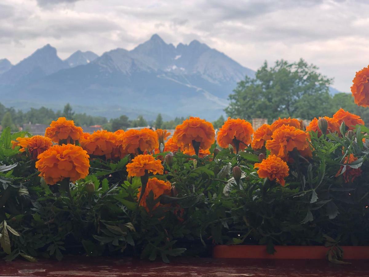 Penzion Bado Stara Lesna Bagian luar foto